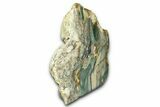 Freestanding Gary Green Jasper (Larsonite) Bog Wood - Oregon #377837-1